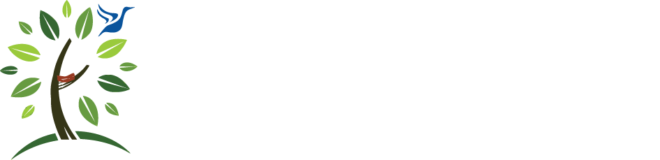 The Cyzner Institute